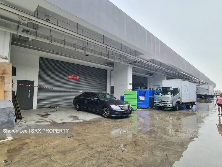 REVV (D22), Factory #637546361